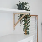 Appartement Design-wohnung